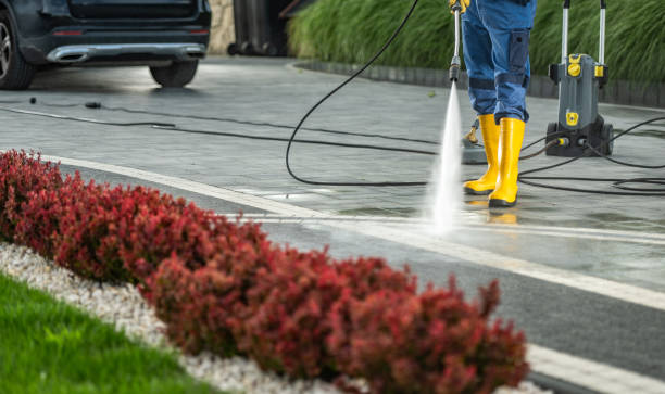 Best Animal Enclosure Cleaning  in West Samoset, FL